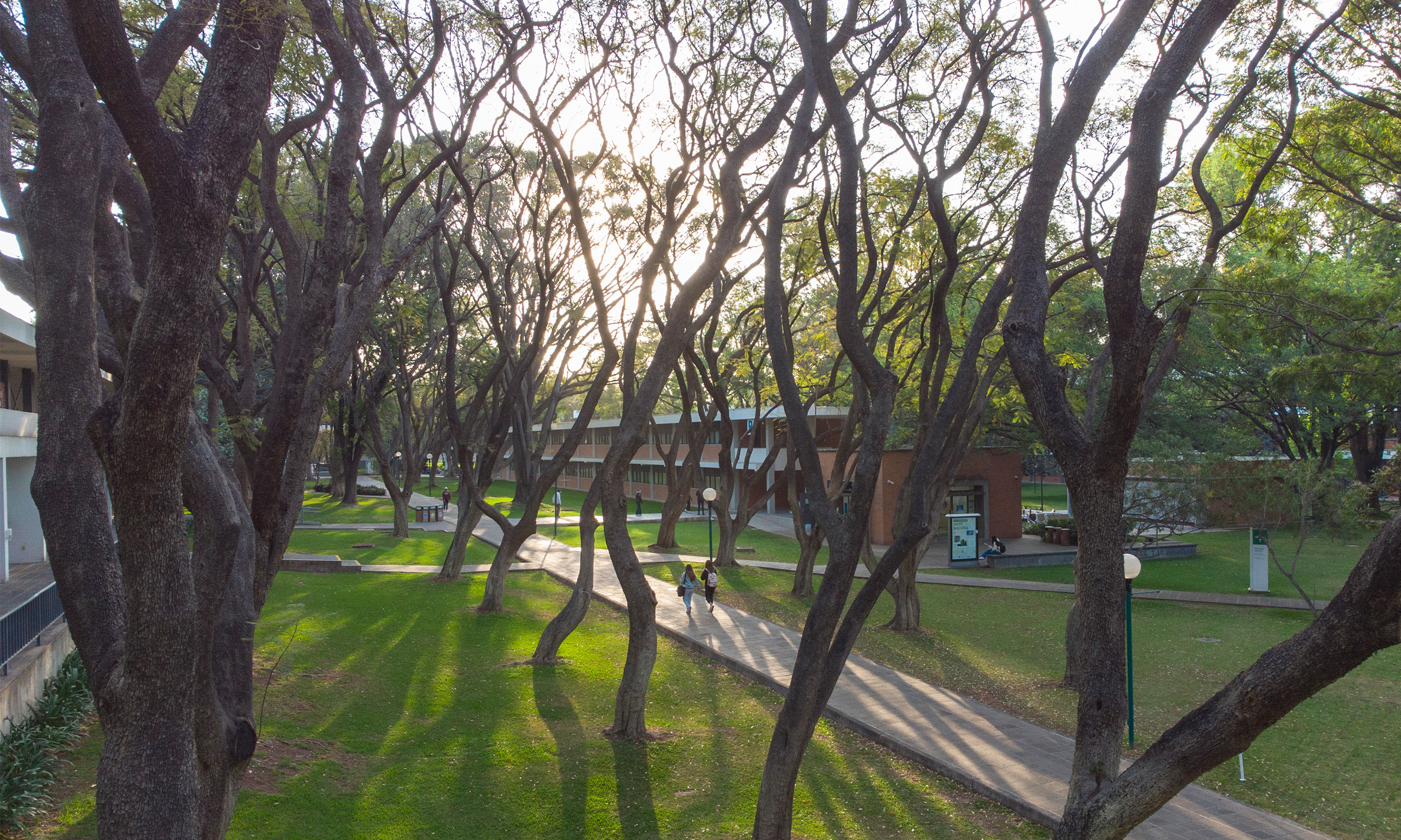 iteso